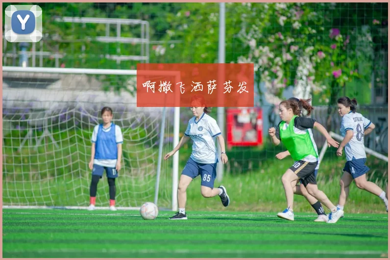 保加利亚对北爱尔兰比分预测前瞻 两队状态对比与胜负看点解析